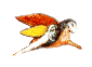 chjobb.gif (2332 bytes)
