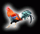 junglefowl_red_2a.gif (2515 bytes)